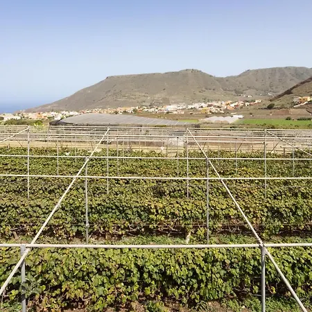 Casa vacanze Live Vinedo With Beautiful Garden Tegueste