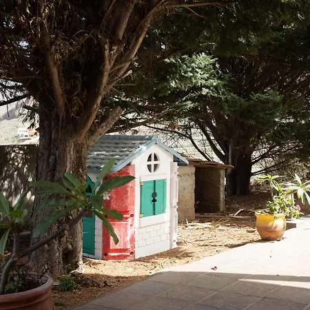 Live Vinedo With Beautiful Garden *