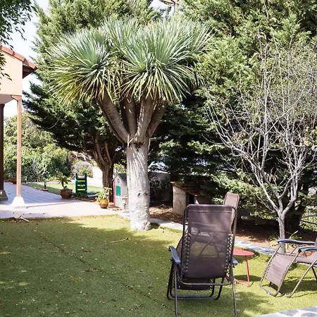 Live Vinedo With Beautiful Garden Casa vacanze Tegueste