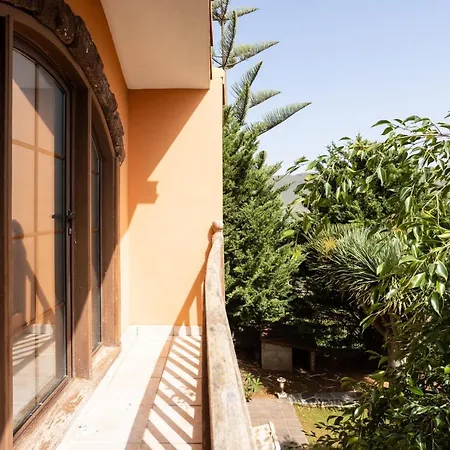 Live Vinedo With Beautiful Garden *